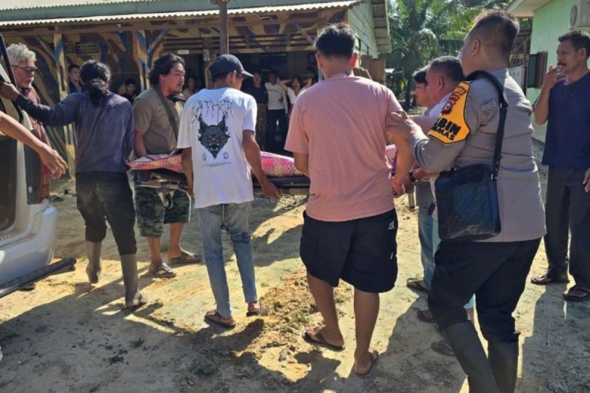 BBKSDA Riau identifikasi gajah jantan soliter yang serang wanita di Bengkalis hingga tewas