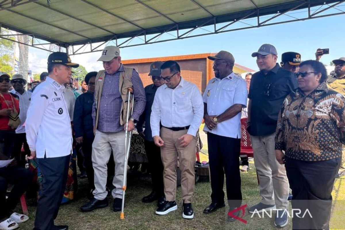Wamendagri optimistis partisipasi pemilih PSU Papua meningkat