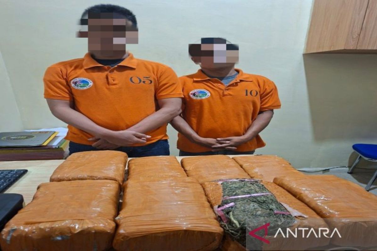 Polisi tangkap dua pengedar ganja 13 kilogram di Deli Serdang