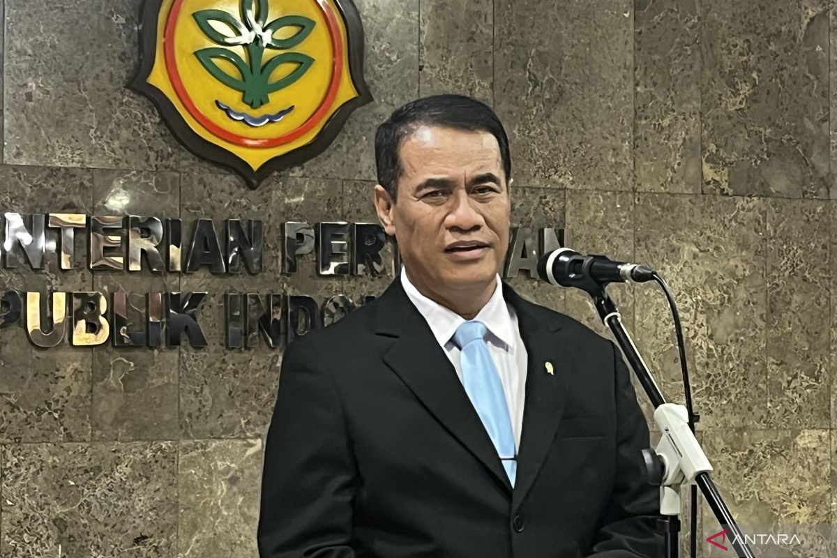 Mentan sebut produk olahan buah kelapa RI makin diminati pasar global