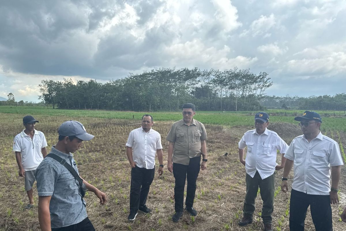 Kemenko Infrastruktur dukung program swasembada pangan di Sambas