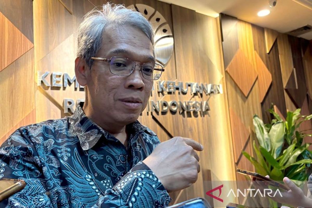 Pemerintah verifikasi keamanan Gunung Rinjani sebelum buka pendakian