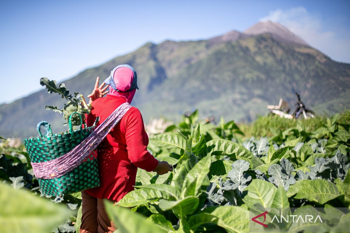Indonesian govt urges villages to drive 8 pct economic growth target