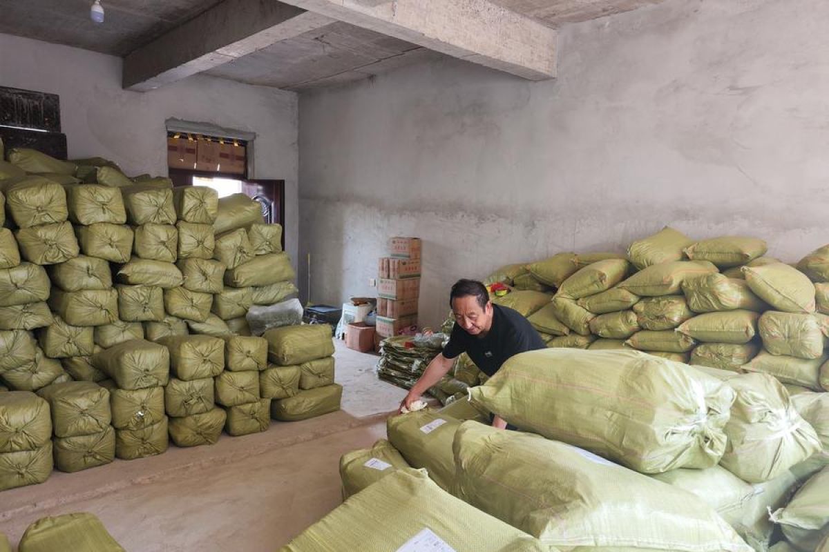 Berkembangnya Tren Hewan Peliharaan Picu Permintaan Tanaman di China