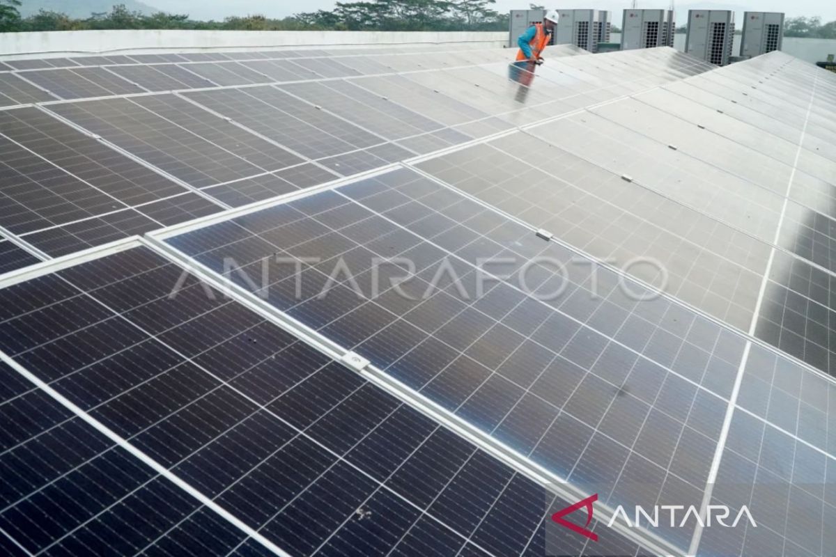 BRIN develops eco-friendly, more efficient organic solar cells