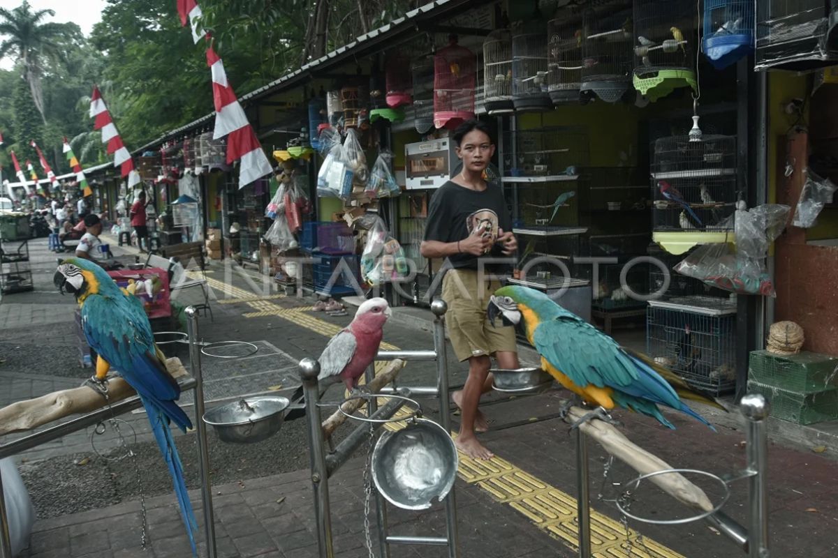 DKI kemarin, pedagang Pasar Hewan Barito hingga Taman Bendera Pusaka