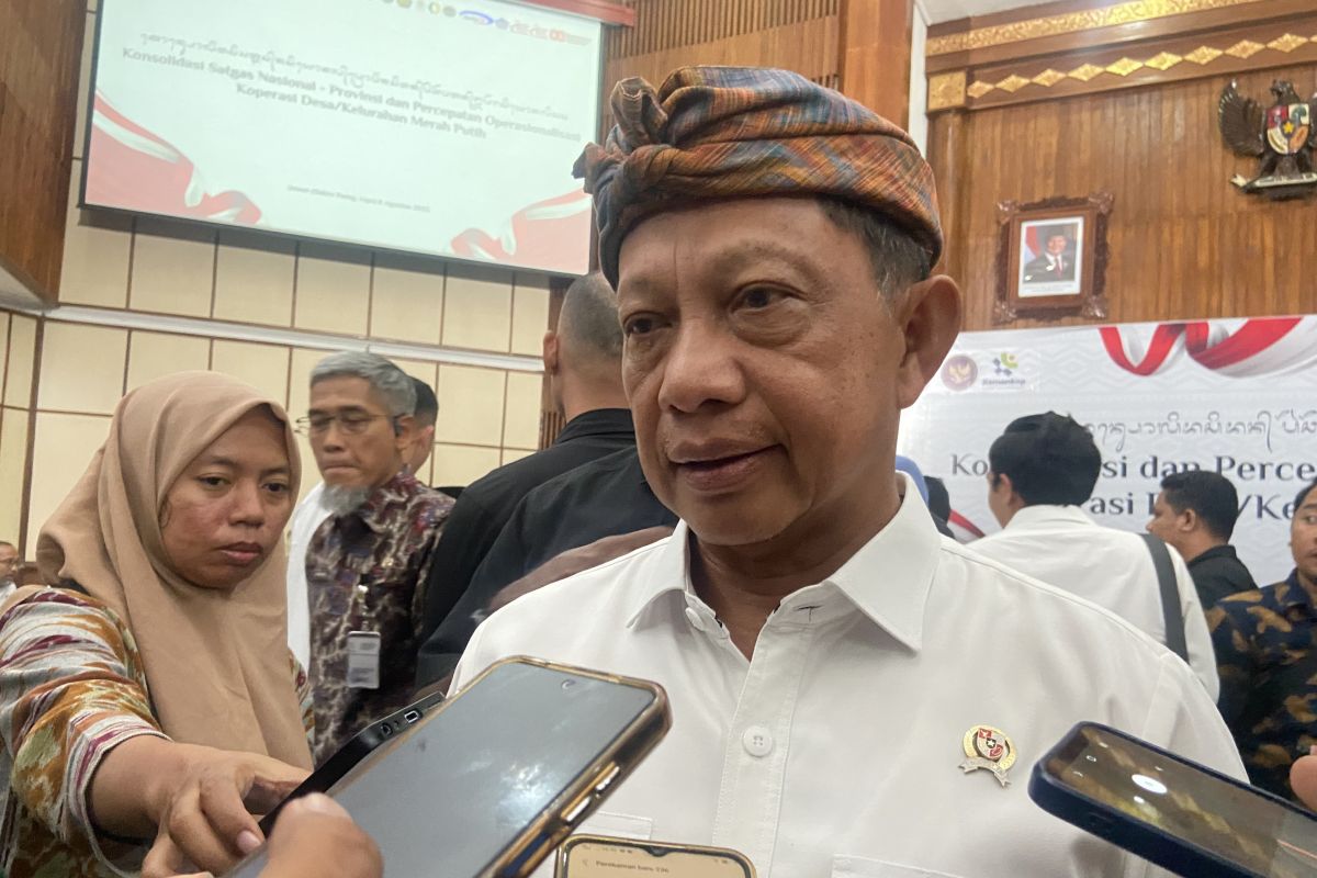 Mendagri instruksikan Pemda bentuk Tim Tanggap Insiden Siber