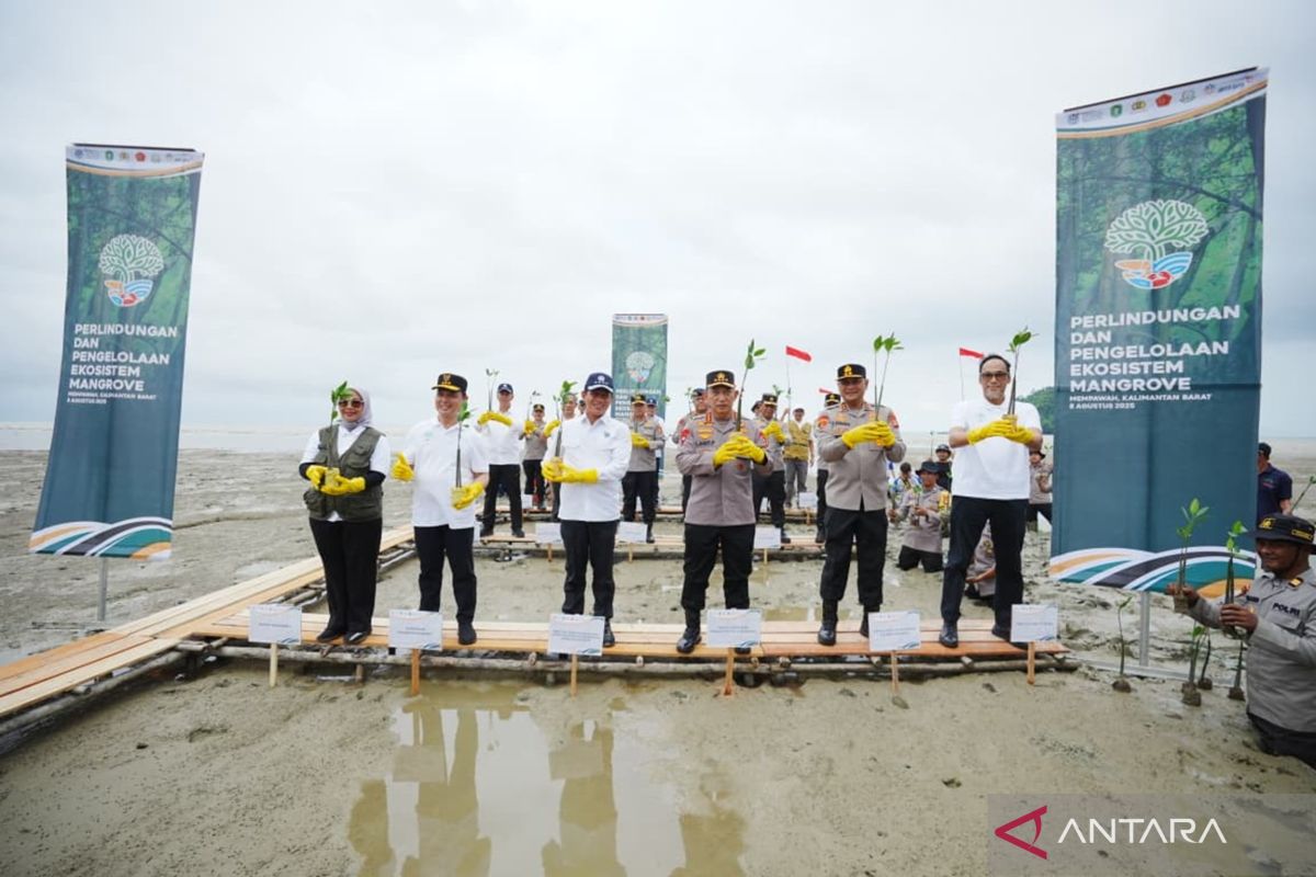 Minister, police chief join mangrove plantation drive