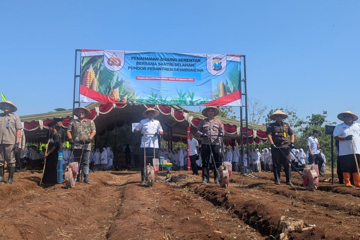 Pemkab Ngawi berupaya tingkatkan luas tanam komoditas jagung