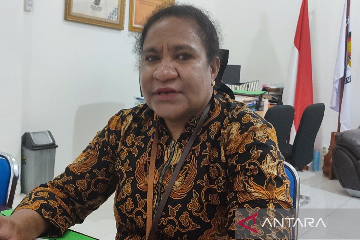 KPU: Bawaslu Sarmi rekomendasikan PSU di TPS 001 Kampung Nengke