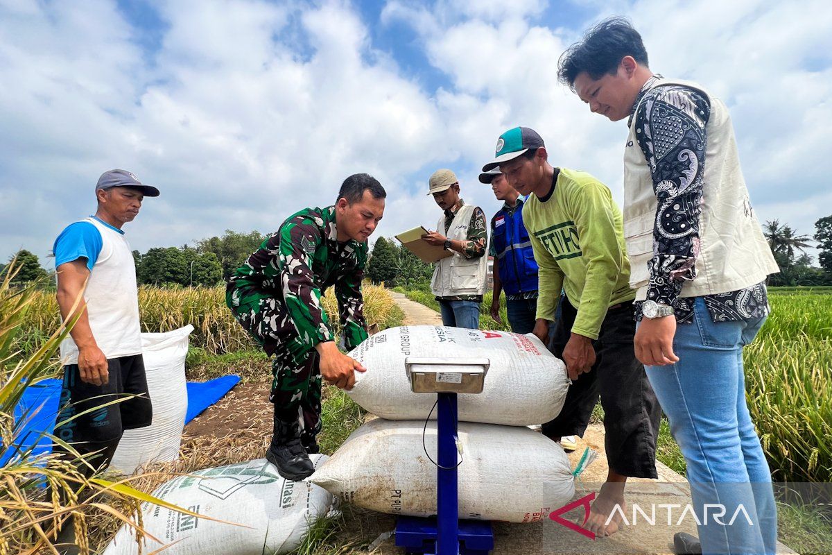 Menjemput panen, meruntuhkan kuasa tengkulak dan kesejahteraan petani