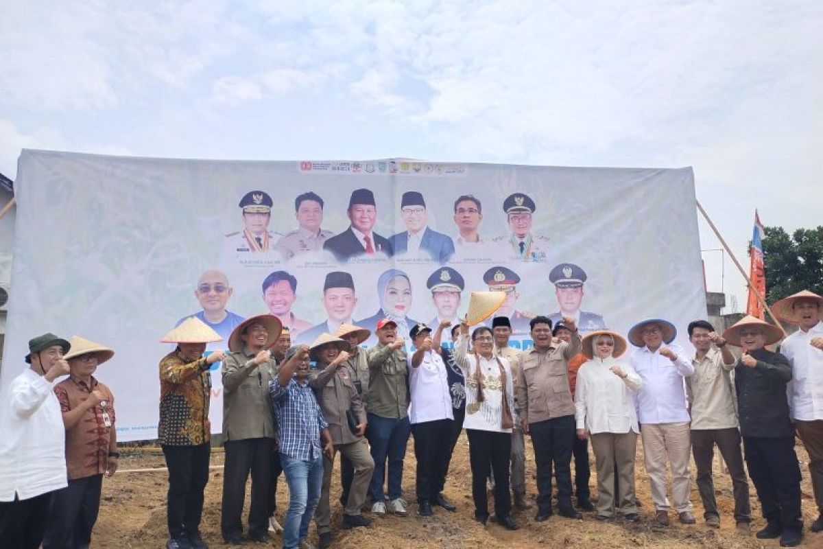 BP Taskin calls for farming on idle land