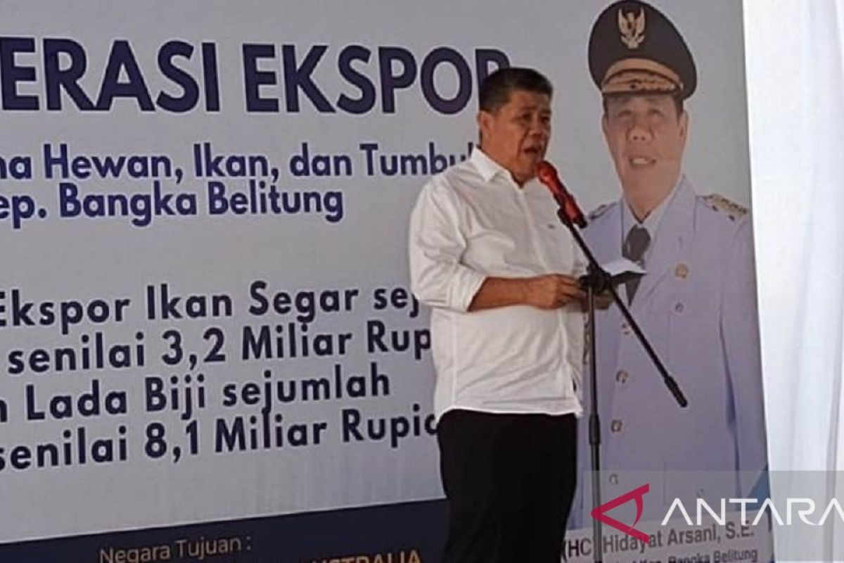 Gubernur Babel tegaskan berantas penyelewengan BBM subsidi nelayan