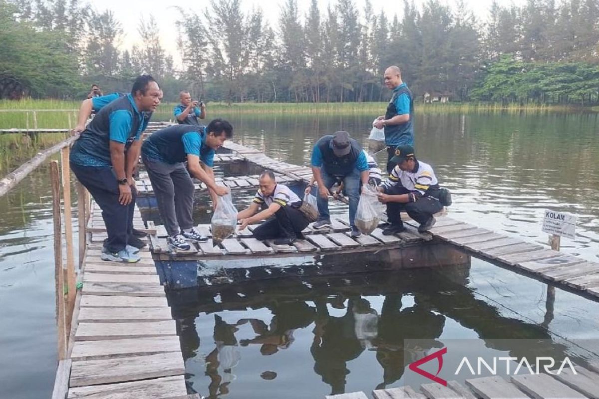 15,000 tilapia fingerlings released in old tin mine