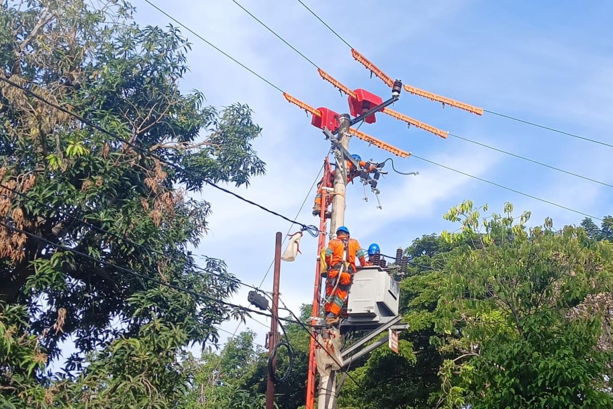 PLN: Jaga jarak aman pasang atribut HUT RI dari jaringan listrik