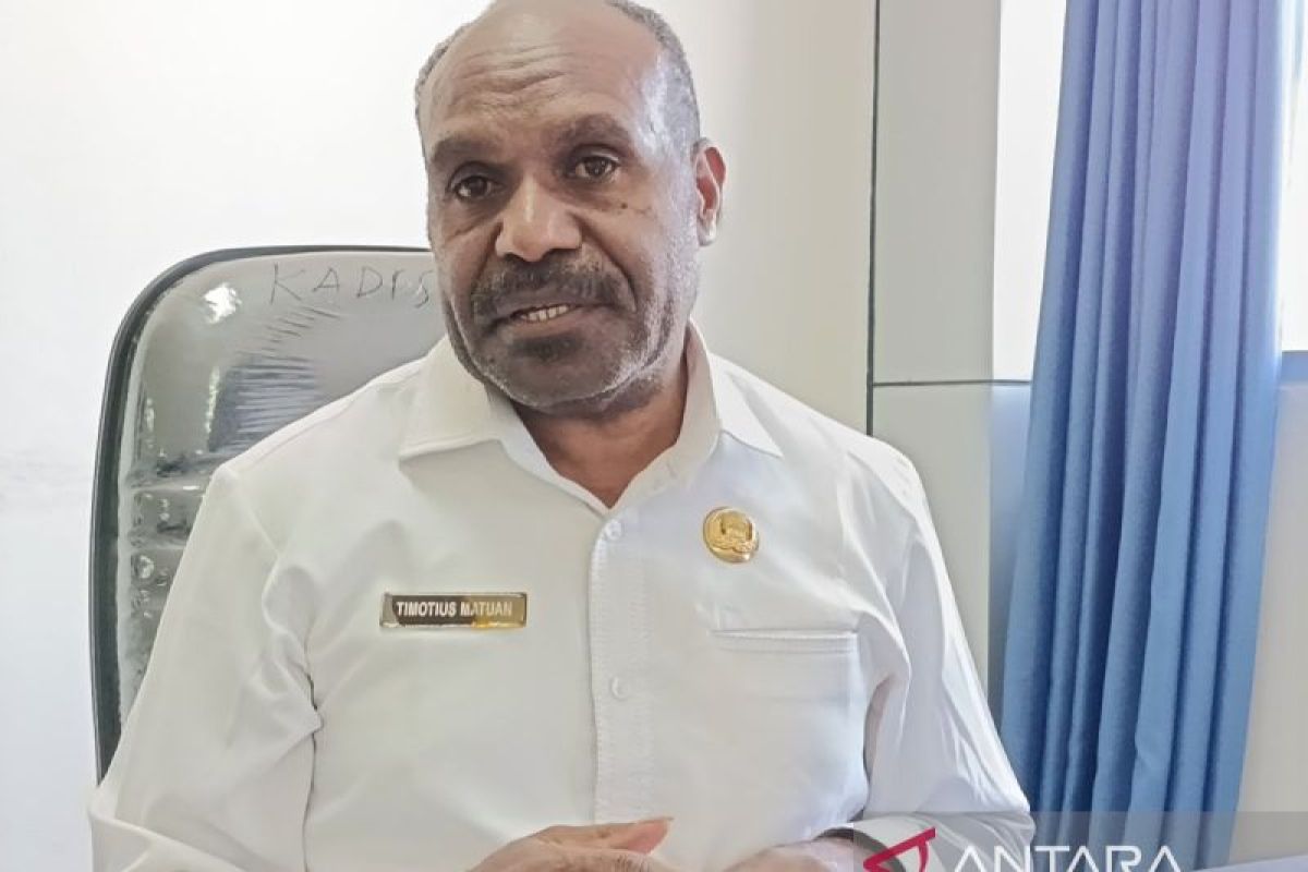 Pemprov Papeg optimalkan generasi muda di delapan kabupaten geluti ekraf