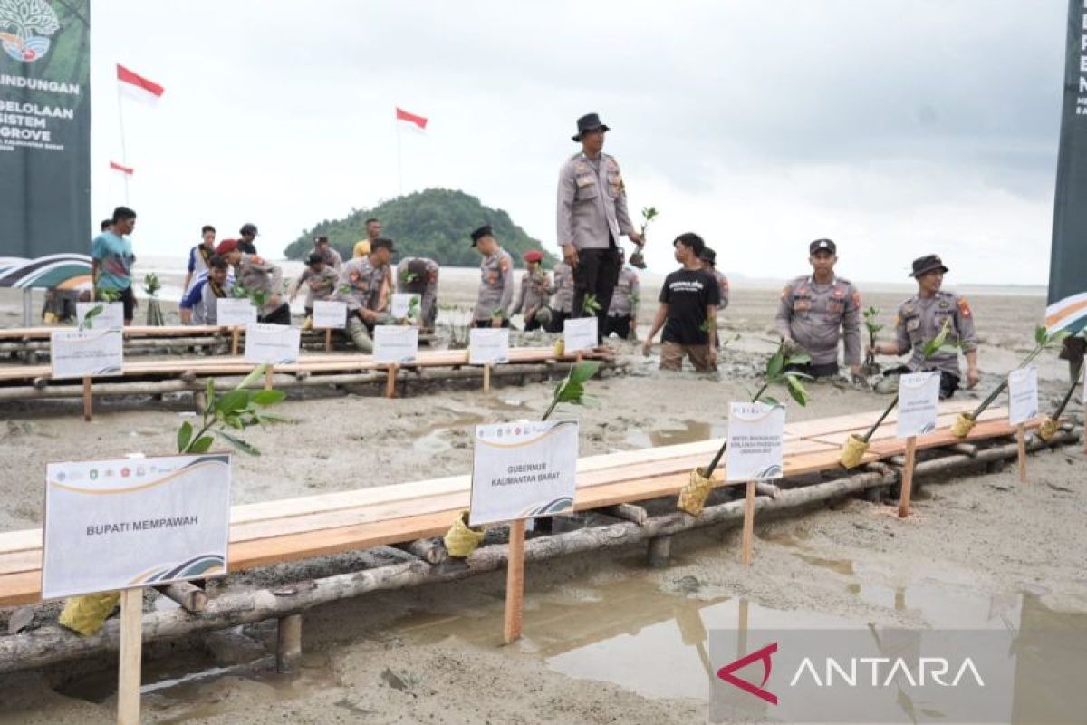 West Kalimantan pushes joint action to save mangrove forests