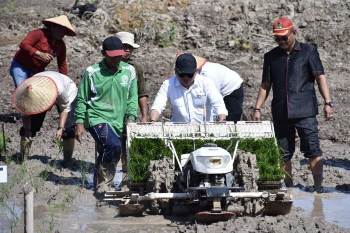 Cetak Sawah 4.491 Hektare di Kapuas Perkuat Swasembada Pangan