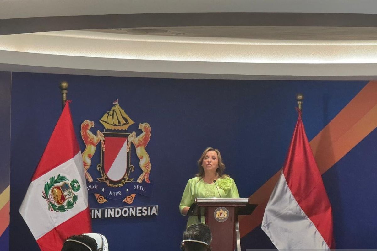 Peru ajak RI investasi di bidang logistik, infrastruktur di negaranya