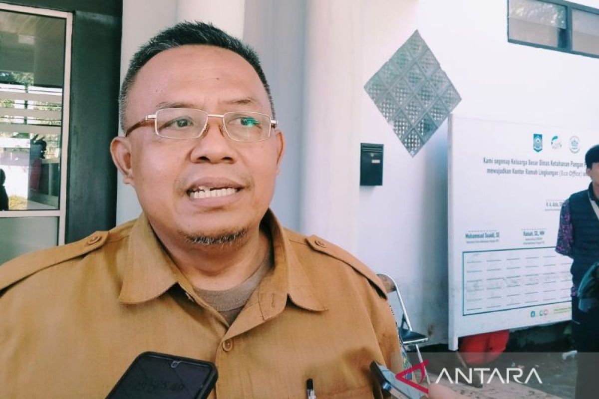 Pembangunan tol Lembar-Kayangan Lombok diganti jalan bypass