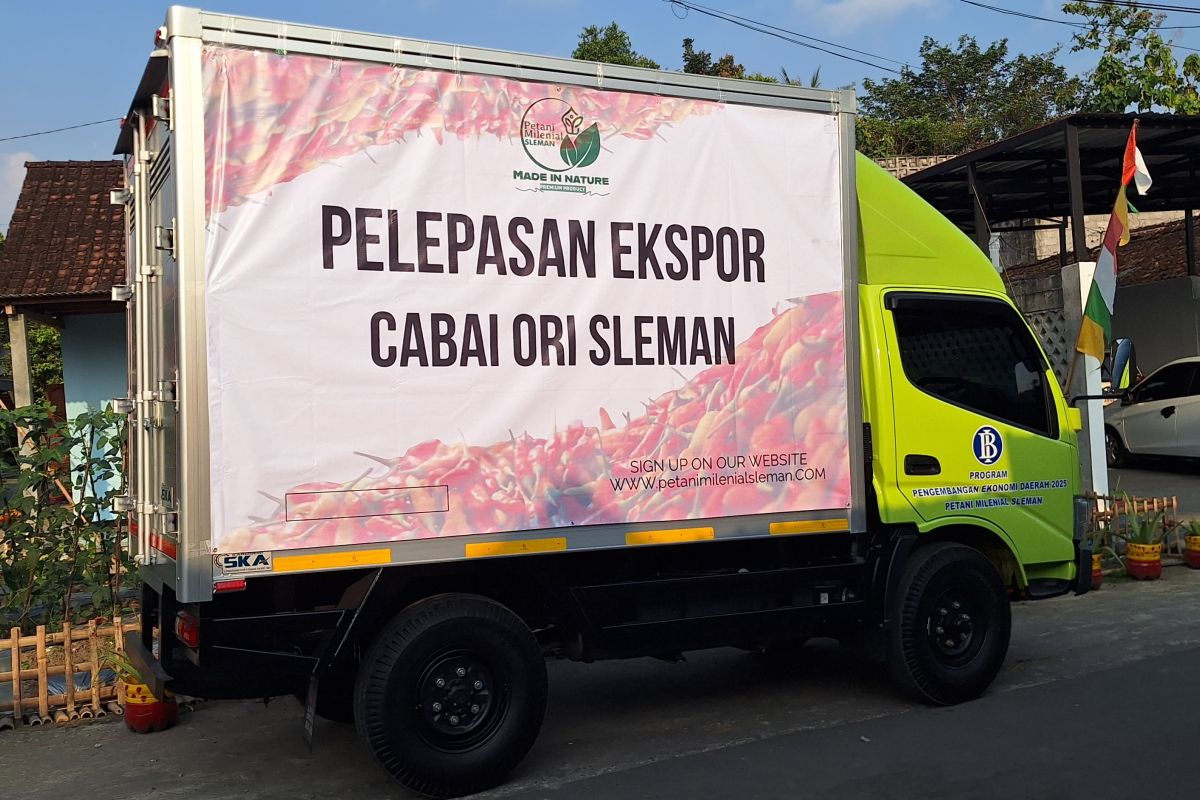 Petani Milenial Sleman ekspor perdana cabai rawit ke Jepang
