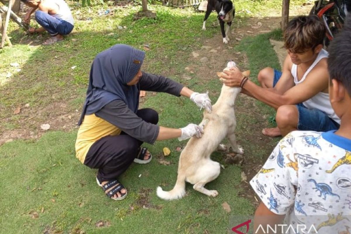 Dinas Pertanian Pasaman siapkan 1.000 dosis vaksin antisipasi rabies