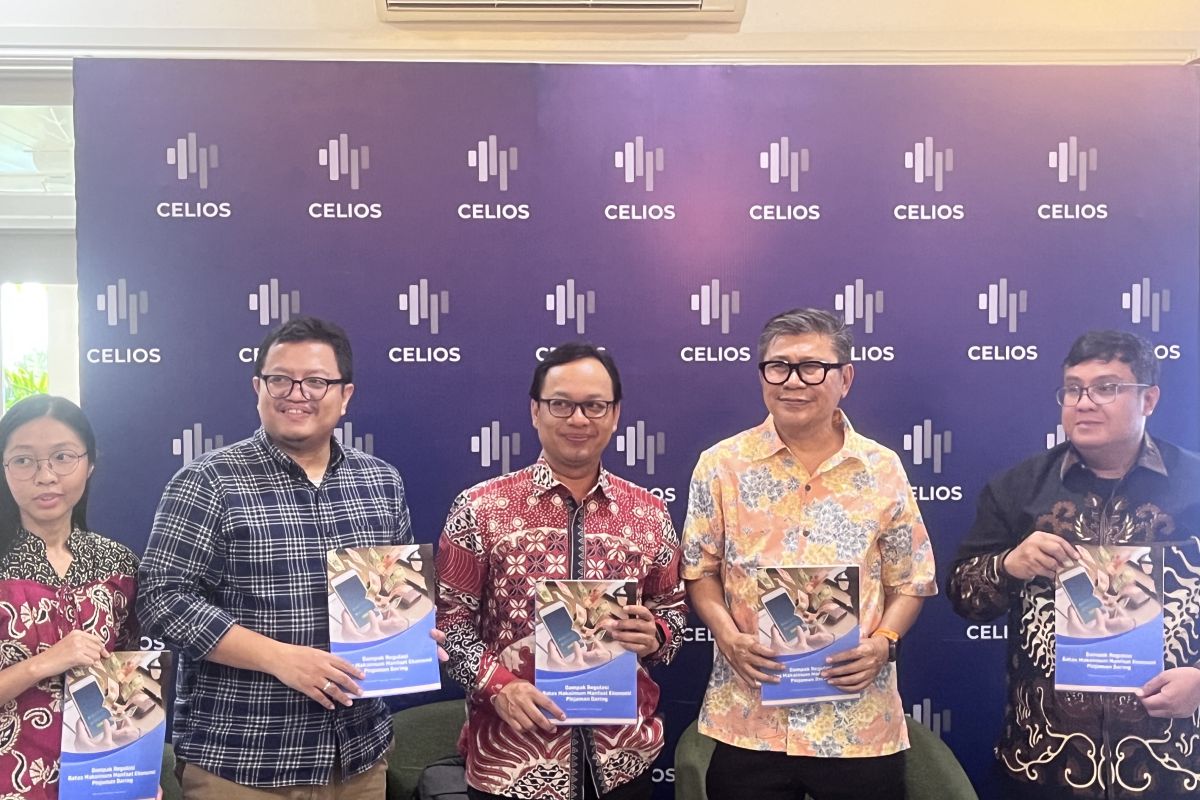 Celios: Perbankan jadi sumber utama pendanaan bagi pindar