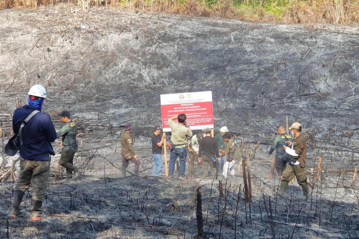 Ministry sealed off, investigated 10 companies following forest fires