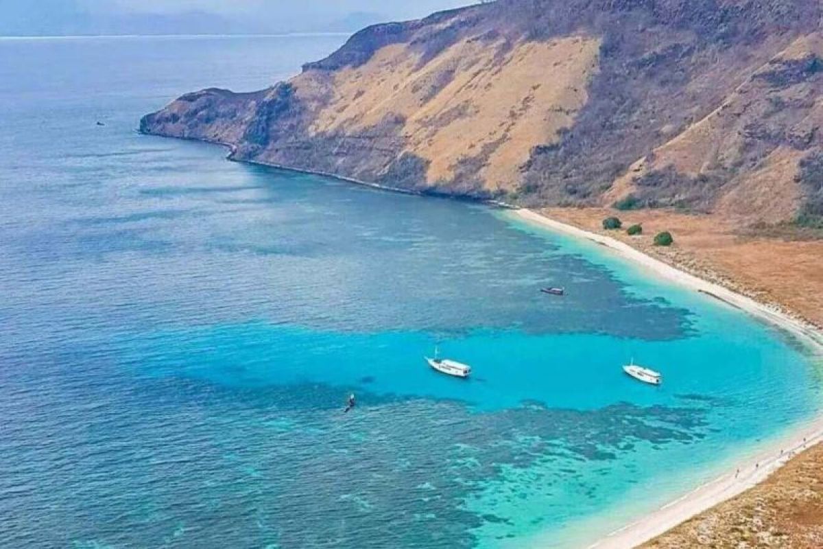 Sebanyak 490 wisatawan nikmati surga bawah laut Gili Banta di ujung timur NTB