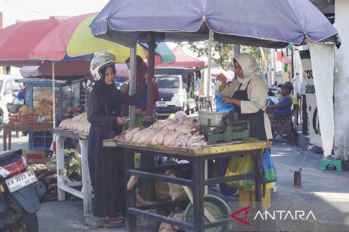 Awal Agustus harga ayam ras di Kobar naik
