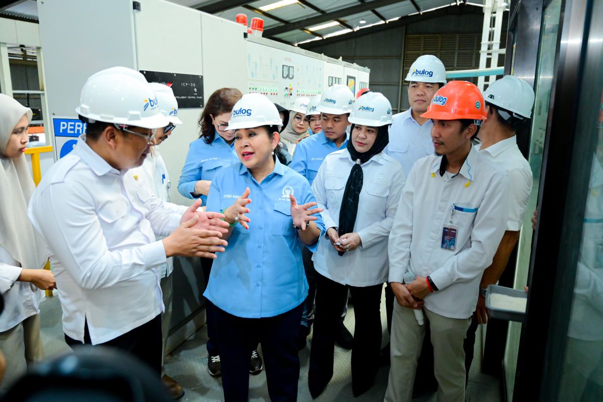 Wagub Sulsel : Teknologi beras milik Bulog mampu jaga kualitas pangan