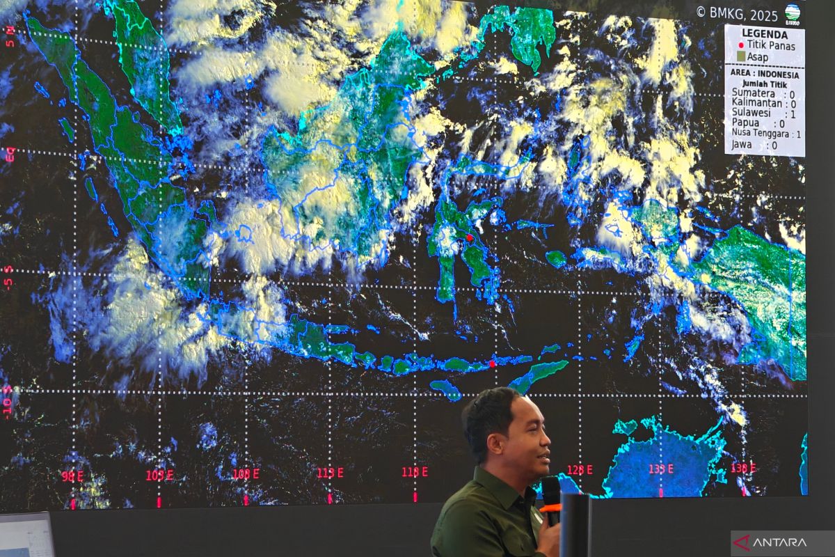 Indonesian govt credits tech, joint efforts for wildfire decline