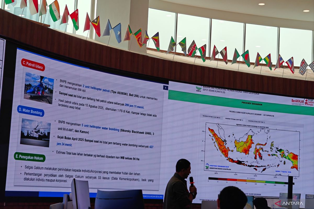 Six priority provinces' fires are under control: BNPB