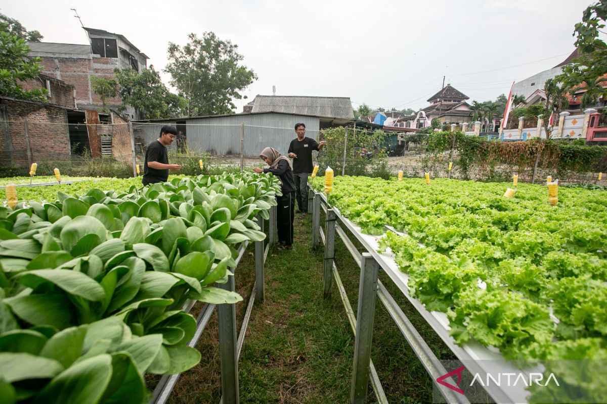 Central Sulawesi eases business permits for millennial farmers
