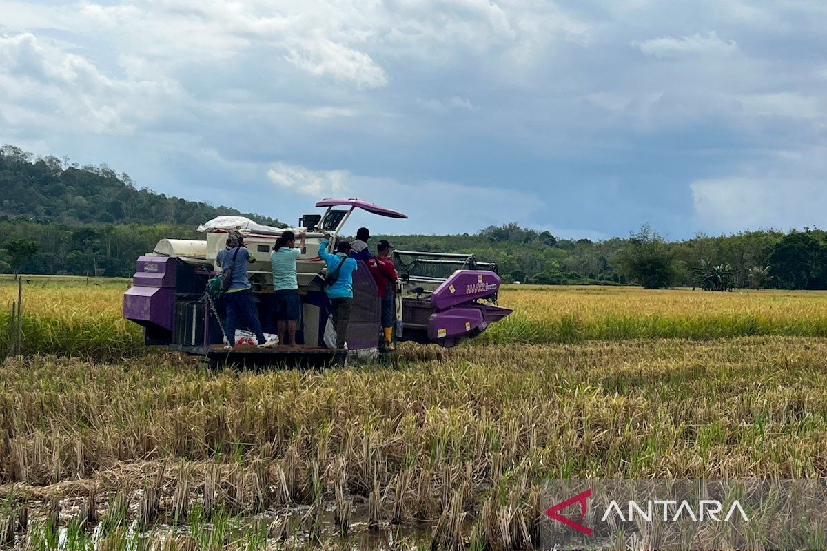 Kementan targetkan cetak sawah rakyat 30 ribu hektare di Kalsel