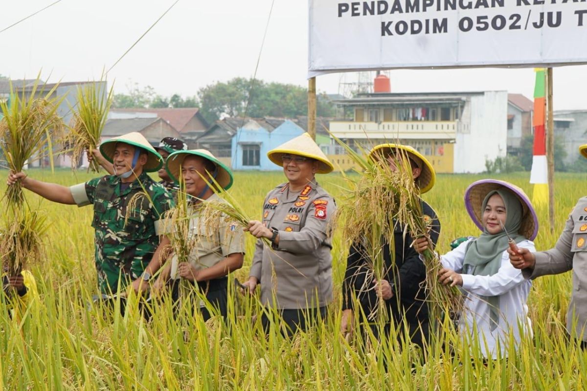 Panen serentak momentum ciptakan ketahanan pangan di Jakut