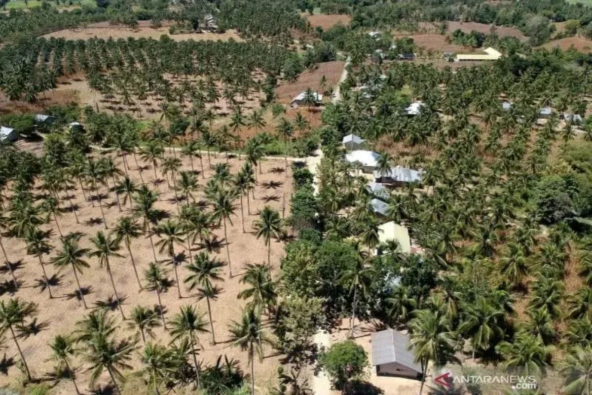 Disnakertrans DIY ikuti perubahan lokasi penempatan calon transmigran