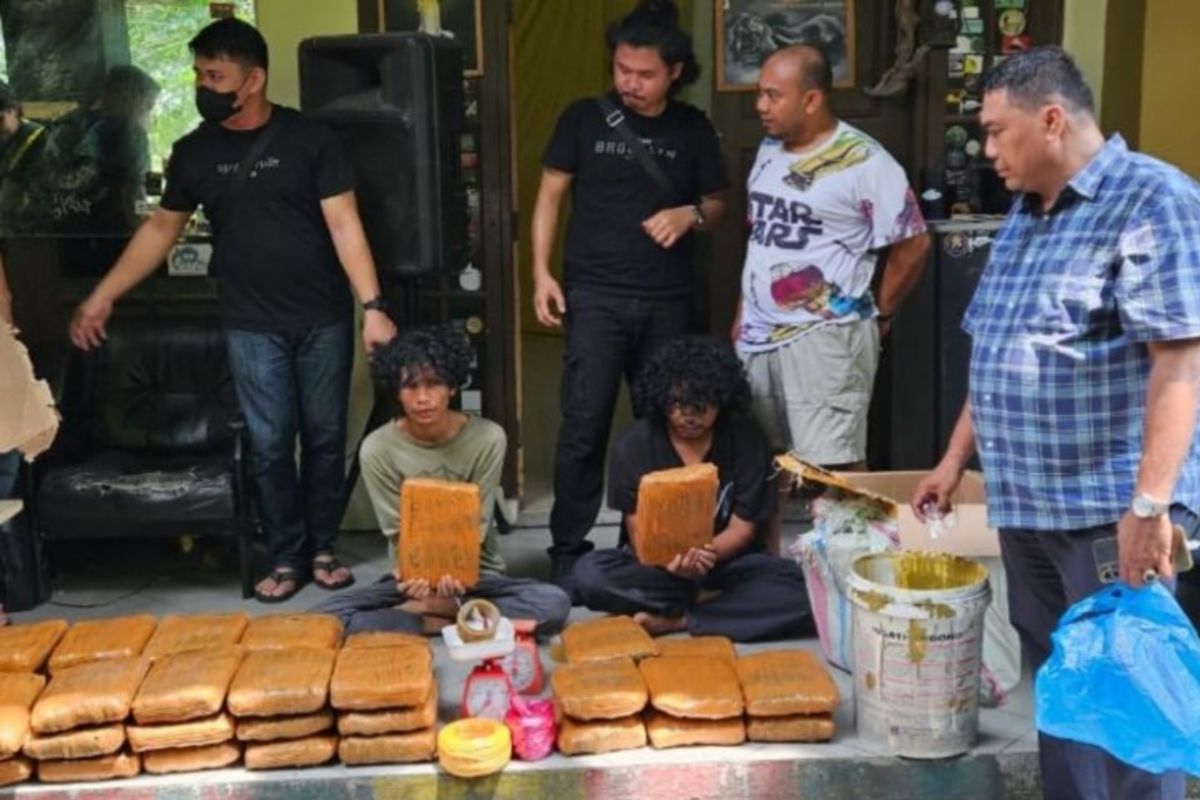 63 kilogram ganja disita dari penggerebekan di Kampus UIN Suska
