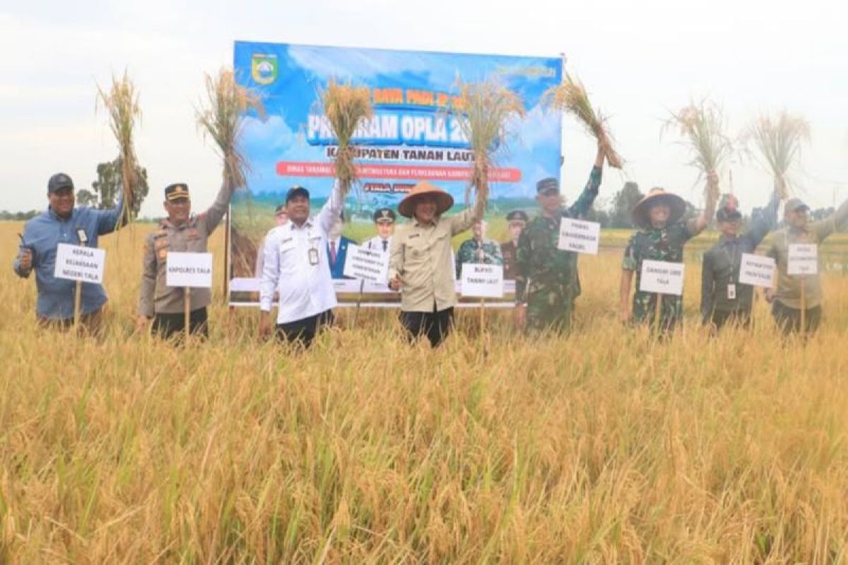 Bupati Tanah Laut targetkan panen padi tiga kali per tahun