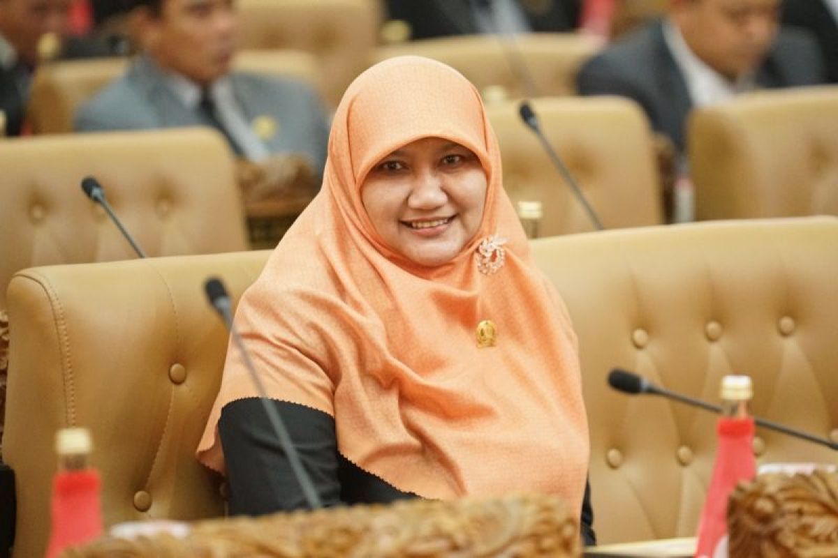 DPRD Jatim: Pengibaran bendera One Piece saat HUT RI bentuk ekspresi wajar