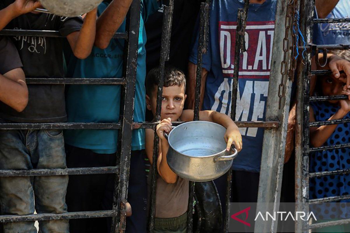 PBB: Jumlah Korban Jiwa Akibat Kelaparan di Gaza Terus Bertambah