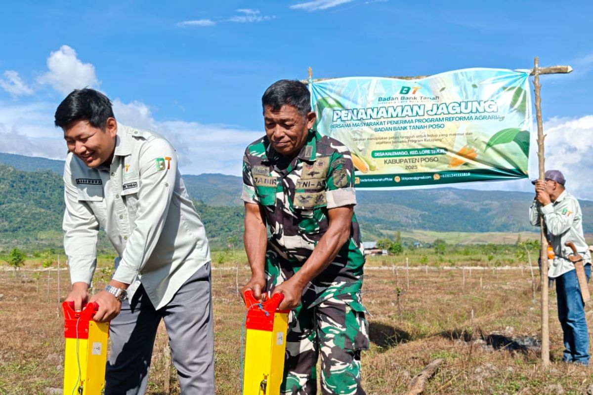 Badan Bank Tanah-TNI manfaatkan lahan di Poso untuk padi dan jagung