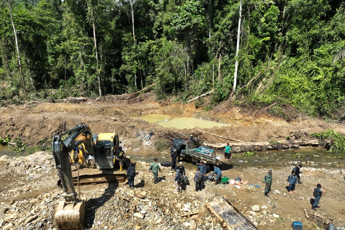 Indonesia halts illegal gold mining in Central Sulawesi forests