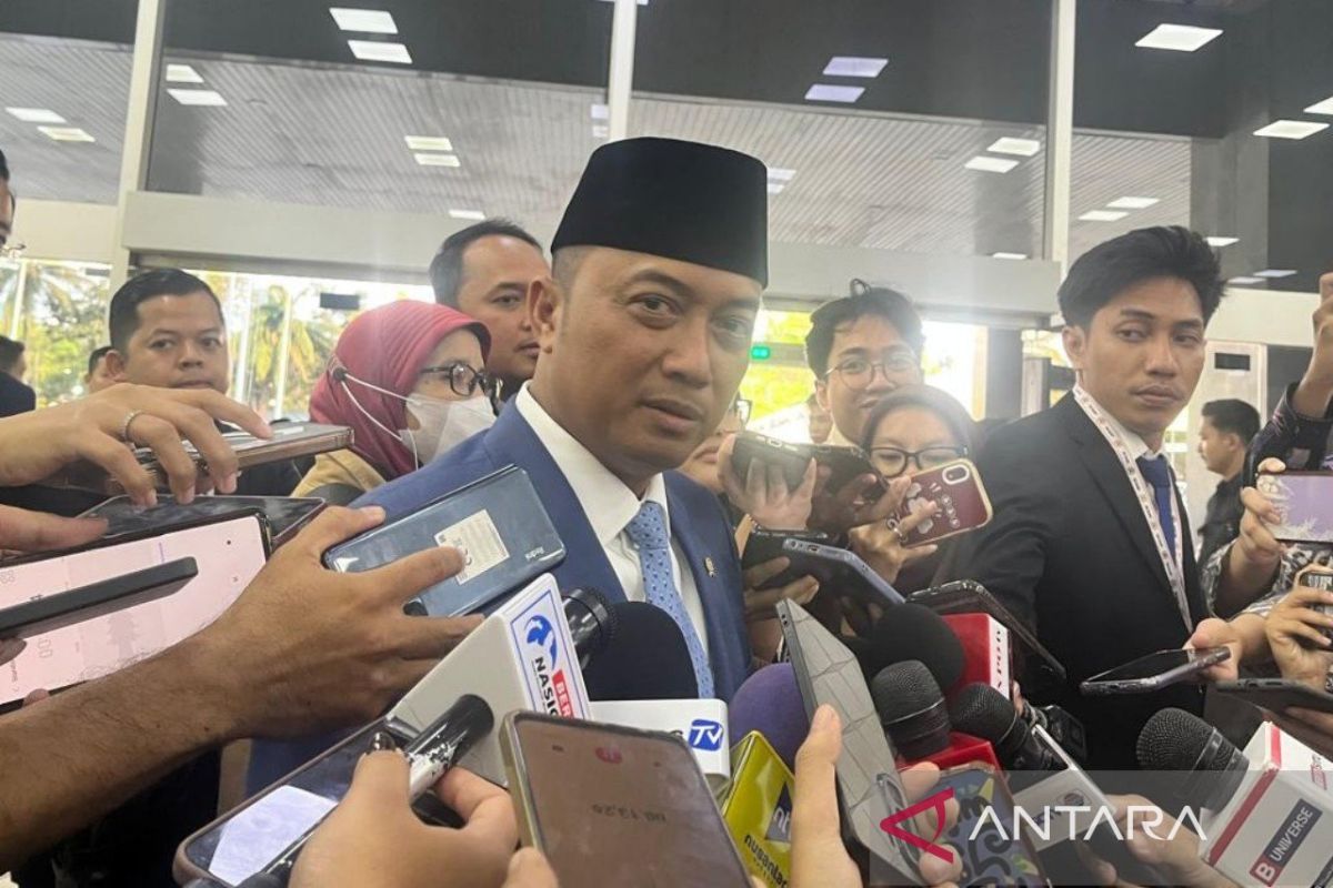 Sempat langka, Istana sebut pasokan beras di pasar kembali normal