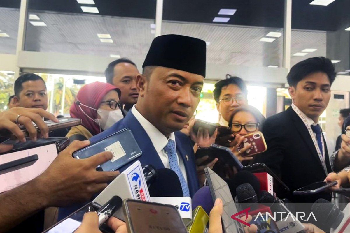 Sempat langka, Istana sebut pasokan beras di pasar kembali normal
