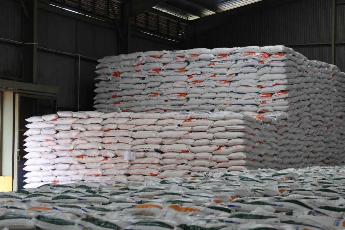 92 persen stok beras berada di swasta, pemerintah optimalkan intervensi dengan 4 juta ton beras
