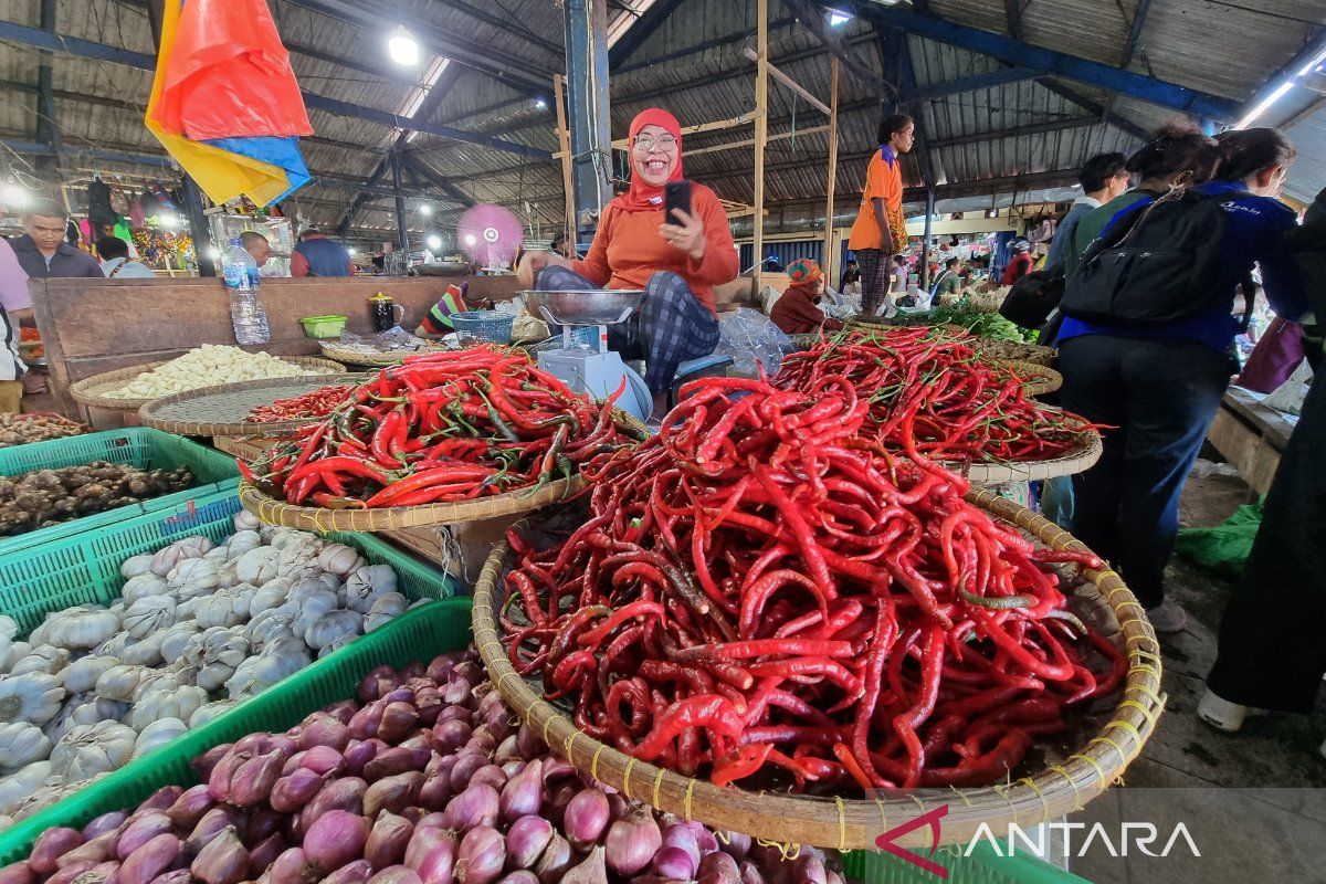 BI: Penyaluran kredit di Papua Barat-Papua Barat Daya Rp9,44 triliun
