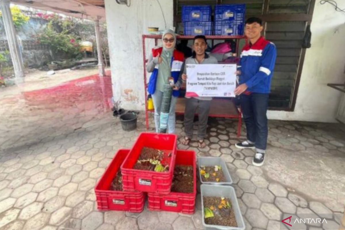Pertamina Jatimbalinus mengembangkan rumah budidaya maggot di Mataram