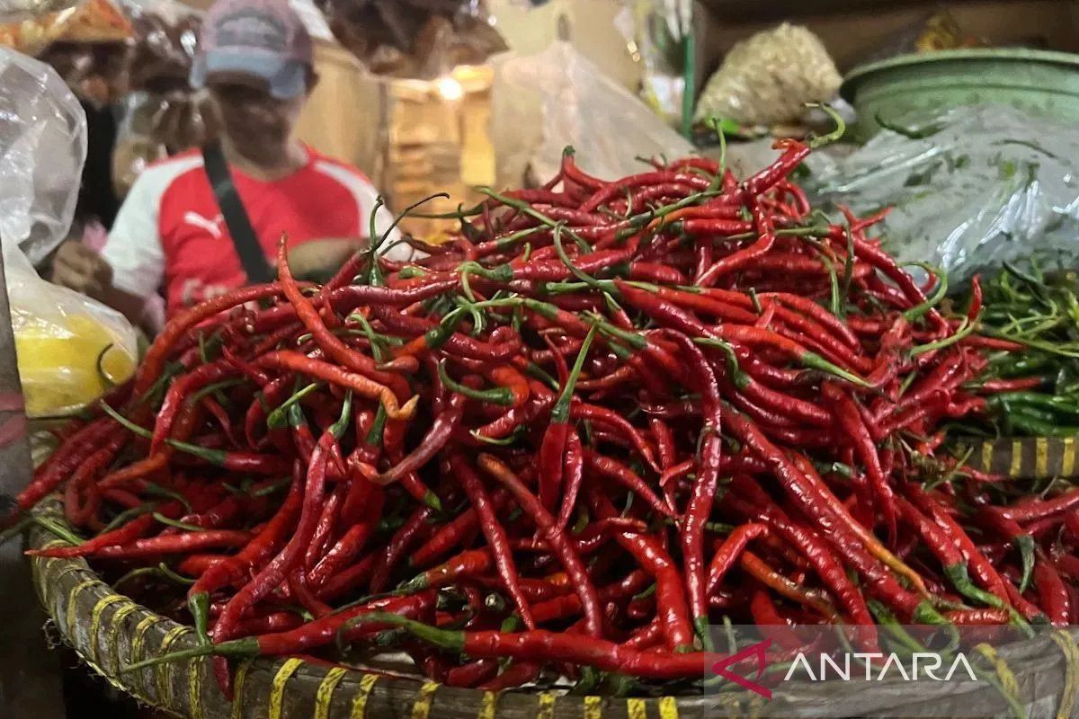 Bapanas catat harga cabai rawit Rp44.739/kg, bawang merah Rp46.707/kg