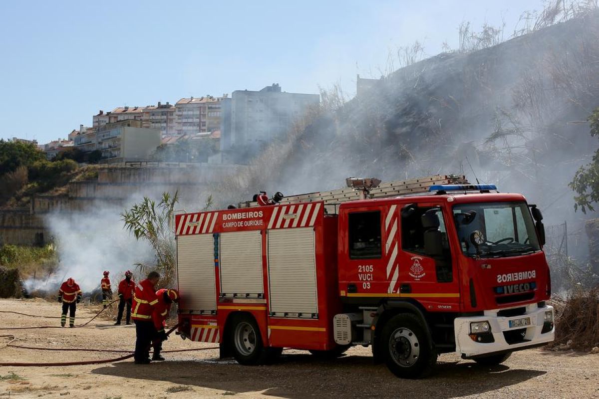 Karhutla di Portugal hanguskan 139.000 hektare lahan sejak awal tahun